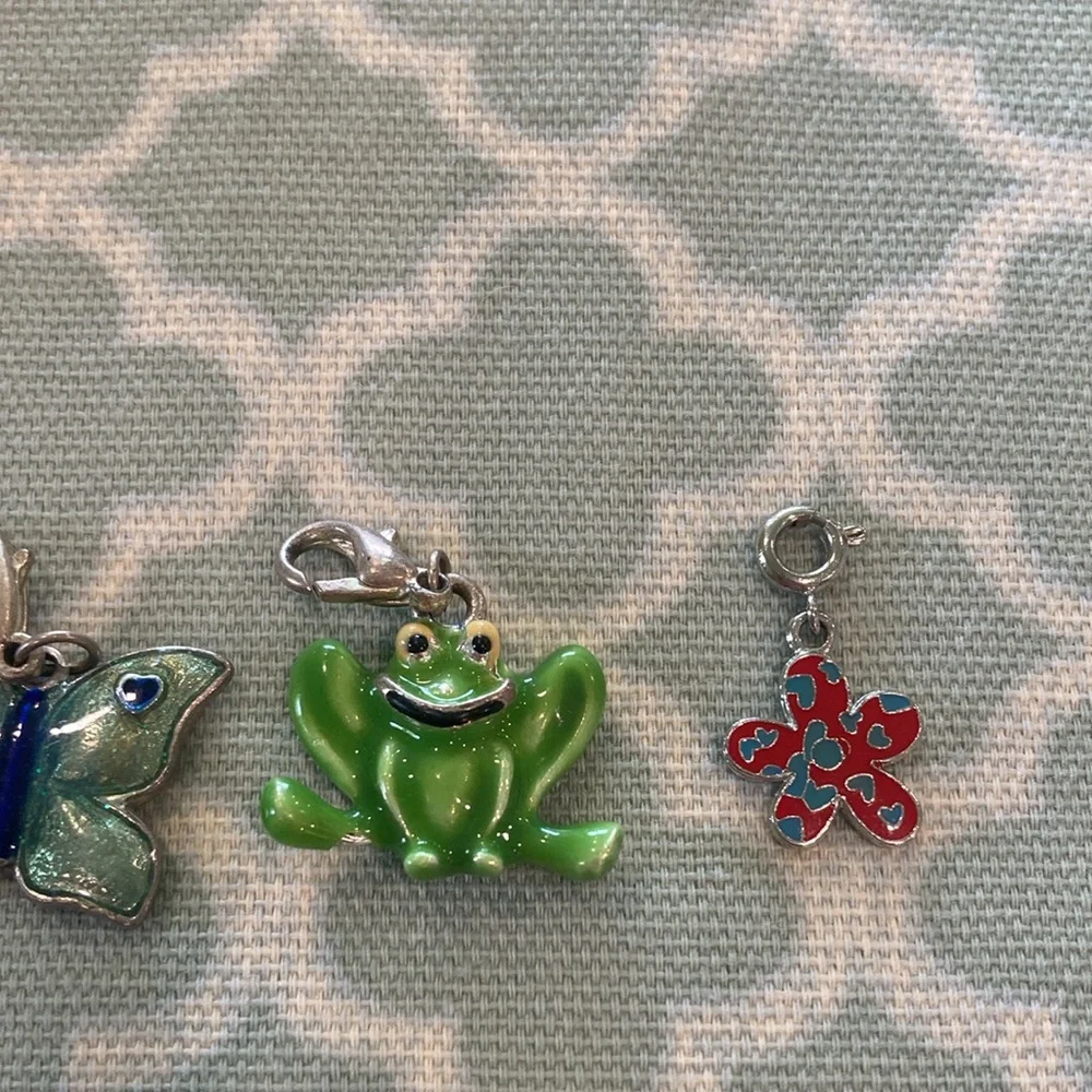 Charms Lion Butterfly Frog Flower